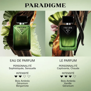 Paradigma Der Duft - Lang anhaltendes holzig-bernsteinfarbenes Parfüm Paradigma Der Duft - Lang anhaltendes holzig-bernsteinfarbenes Parfüm